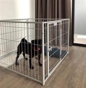   Dieses Freilaufgitter ist geeignet f&uuml;r Kleintiere. Es ist stabil verschraubt, um ein Ausbrechen der Tiere verhindern zu k&ouml;nnen.   Zus&auml;tzlich ist eine T&uuml;r mit einer Verriegelung verbaut, welche nach  Au&szlig;en ge&ouml;ffnet werden kann. Durch die H&ouml;he des Freilaufgitters k&ouml;nnen  Ihre Tiere nicht ausbrechen. Das Gitter kann au&szlig;erdem an den  Verschraubungen auseinander gebaut werden. Somit k&ouml;nnen Sie den Freilauf  ganz einfach von Ort zu Ort transportieren. Selbst in zusammen gebauter  Form ist es nicht zu gro&szlig; und zu schwer um es an einen anderen Platz zu  tragen.  
  Vier Gitter mit Verschraubungen incl. eingebauter T&uuml;re  
 &nbsp; 
     