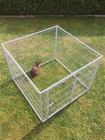  
 D ieses Freilaufgitter ist geeignet f&uuml;r Welpen und Kleintiere. Es ist  stabil verschraubt, um ein Ausbrechen der Tiere verhindern zu k&ouml;nnen.   Zus&auml;tzlich ist eine T&uuml;r mit einem Verriegelung verbaut, welche nach  Au&szlig;en ge&ouml;ffnet werden kann. Das Gitter kann au&szlig;erdem an den  Verschraubungen auseinander gebaut werden. Somit k&ouml;nnen Sie den Freilauf  ganz einfach von Ort zu Ort transportieren. Selbst in zusammen gebauter  Form ist es nicht zu gro&szlig; und zu schwer um es an einen anderen Platz zu  tragen.   
  Vier Gitter mit Verschraubungen incl. eingebauter T&uuml;re (38x55cm)   
 